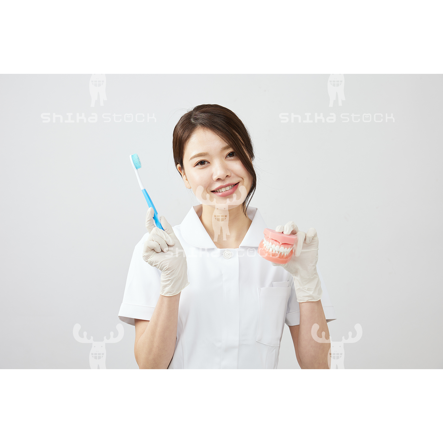 【Mサイズ】歯科衛生士と歯の模型と歯ブラシ１