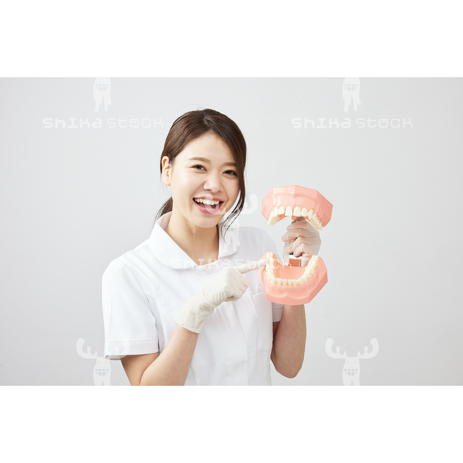 【Mサイズ】歯科衛生士と大きな歯の模型