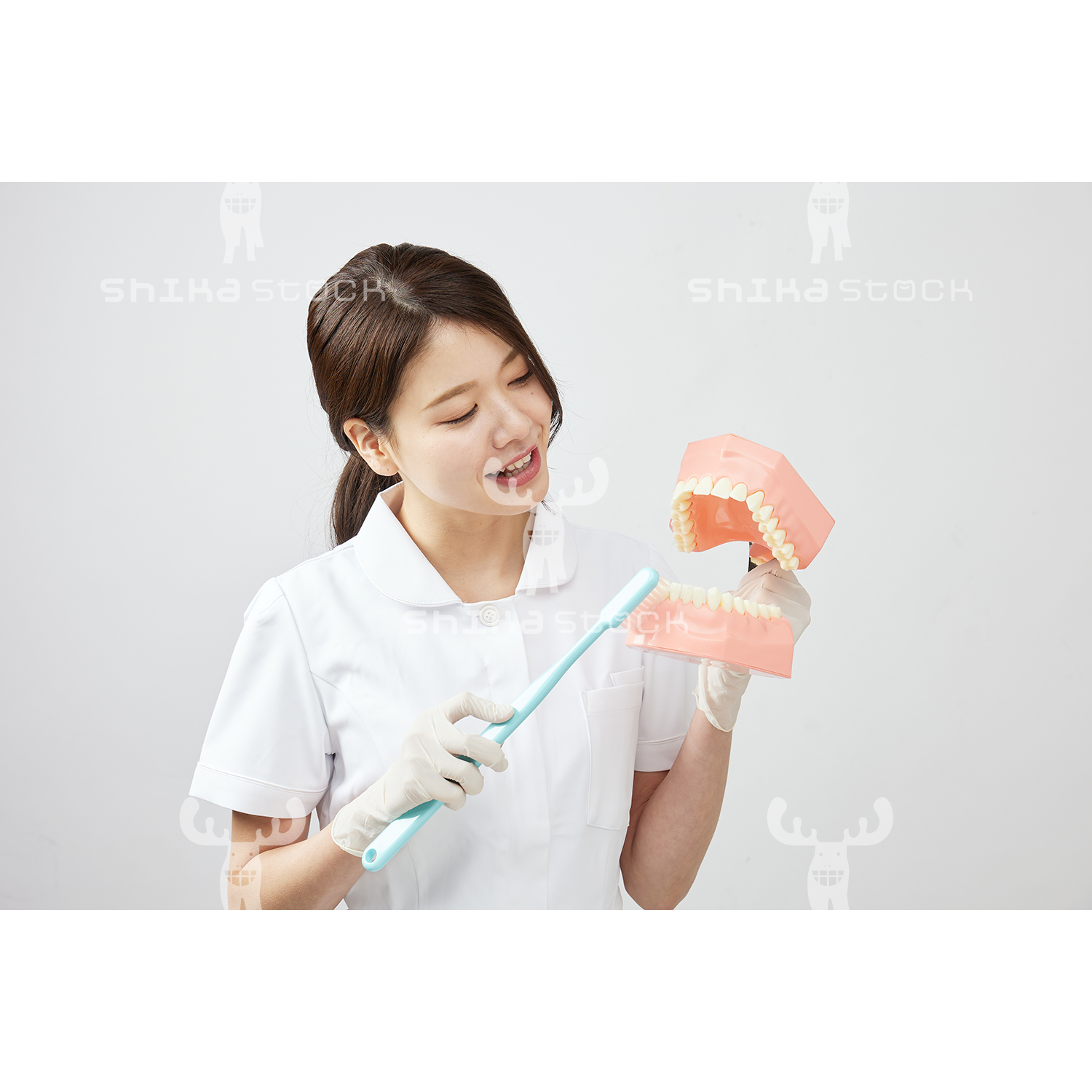 【Mサイズ】歯科衛生士と大きな歯の模型と歯ブラシ１