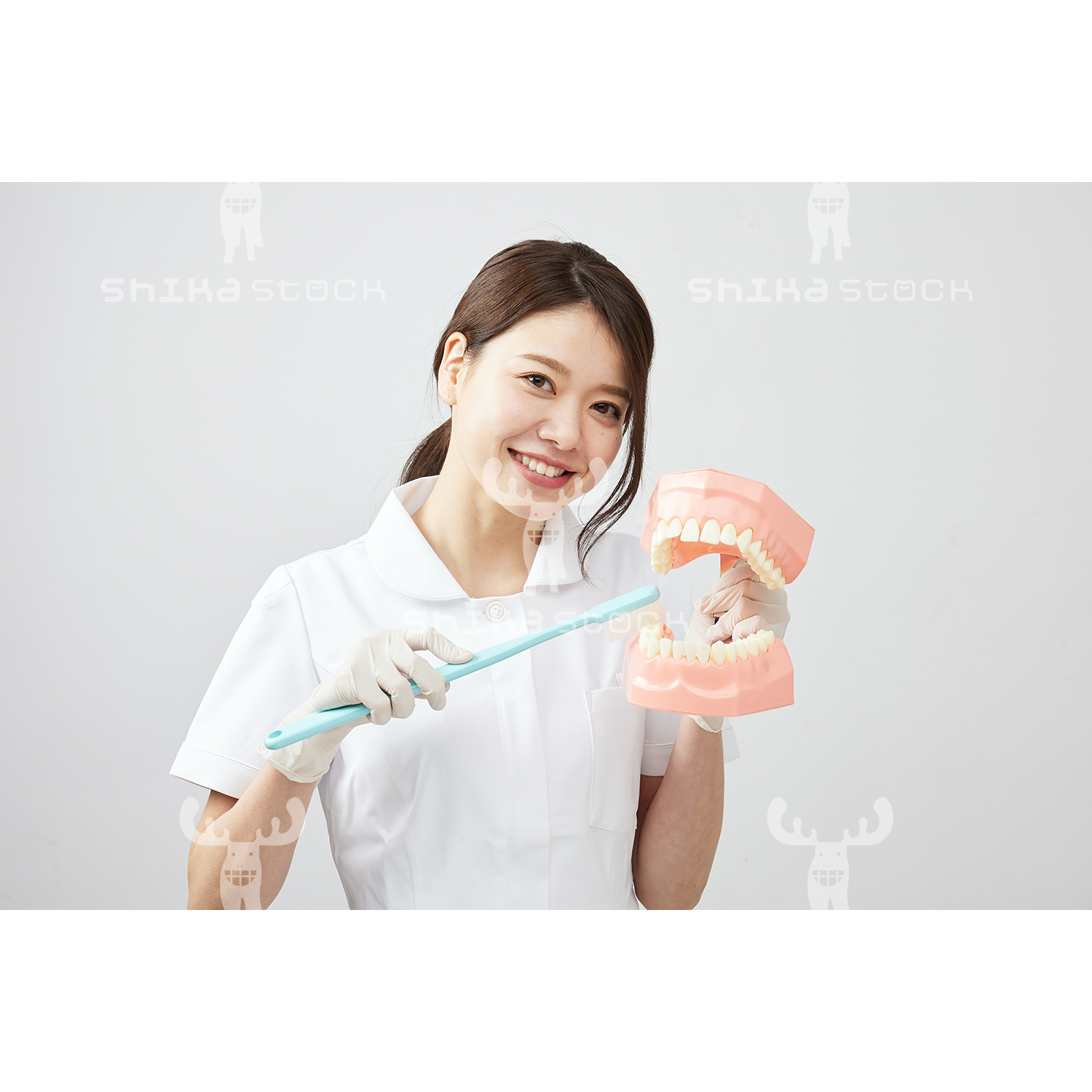 【Mサイズ】歯科衛生士と大きな歯の模型と歯ブラシ２