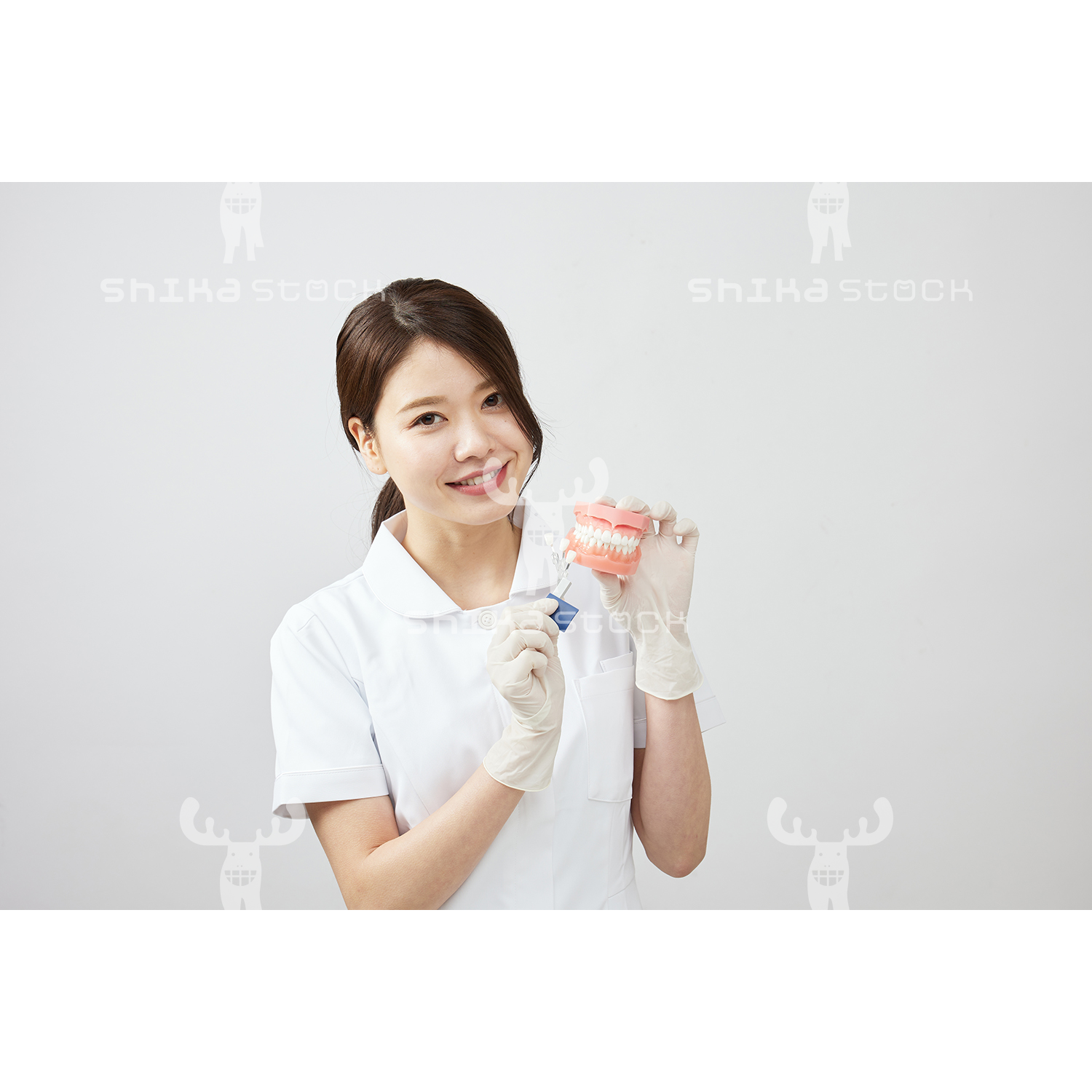 【Mサイズ】歯科衛生士と歯の模型とシェードガイド
