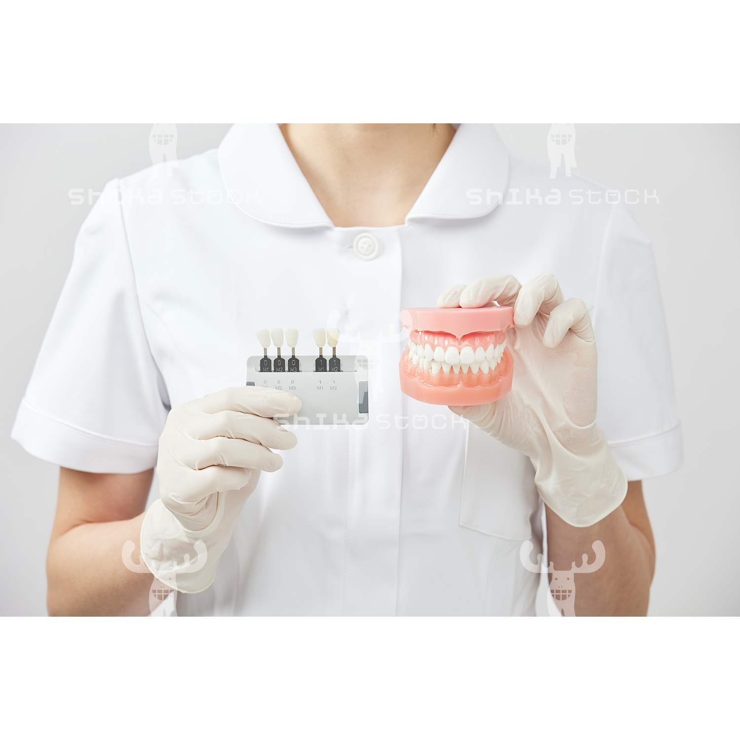 【Mサイズ】歯科衛生士と歯の模型とシェードガイドの手元