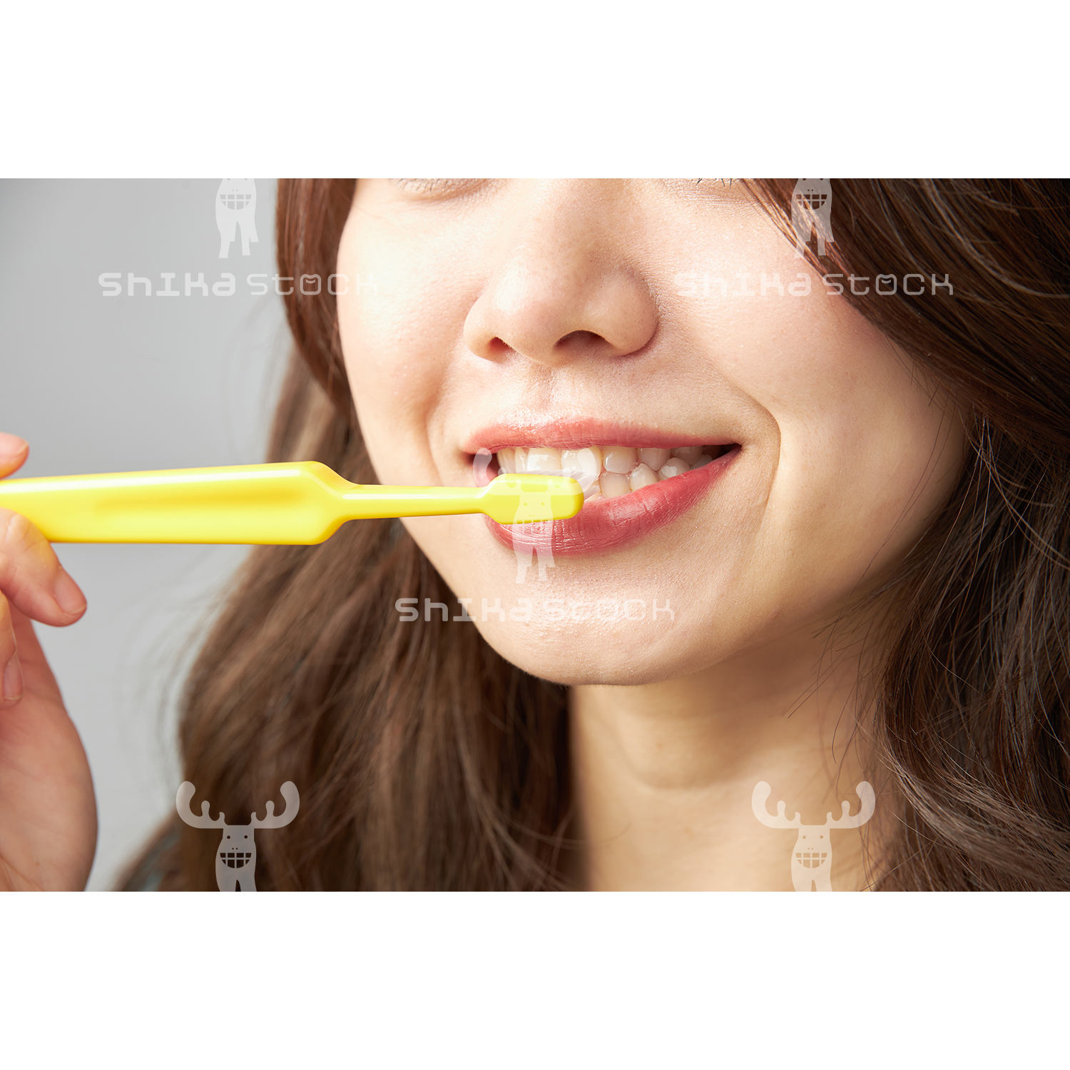 【Mサイズ】歯を磨く女性